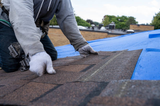 Best Storm Damage Roof Repair  in Hayden, CO