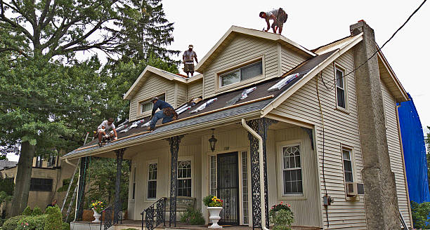 Best Local Roofing Companies  in Hayden, CO